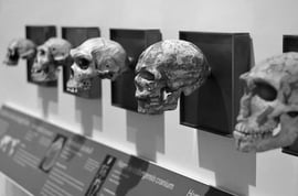 7625762720_d81e7dd94a_z